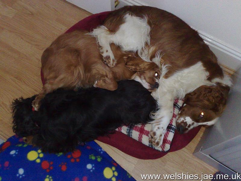 2010-01-08 01.jpg - Keeping warm together!